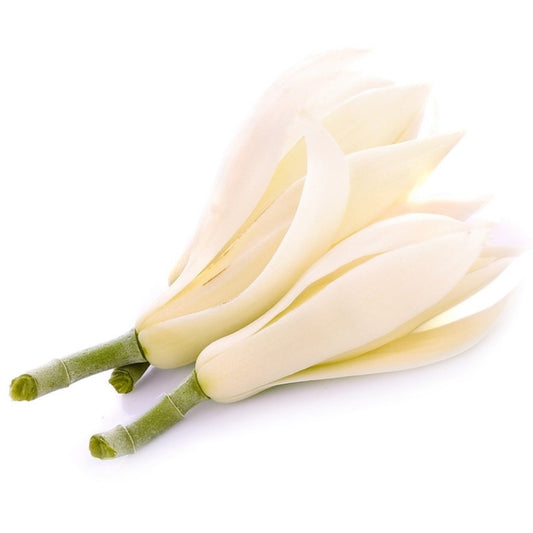 有機白蘭花精油 Organic White Magnolia 10ml