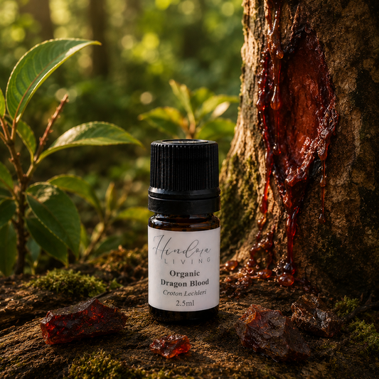 有機野生龍血精油 Dragon Blood 2.5ml