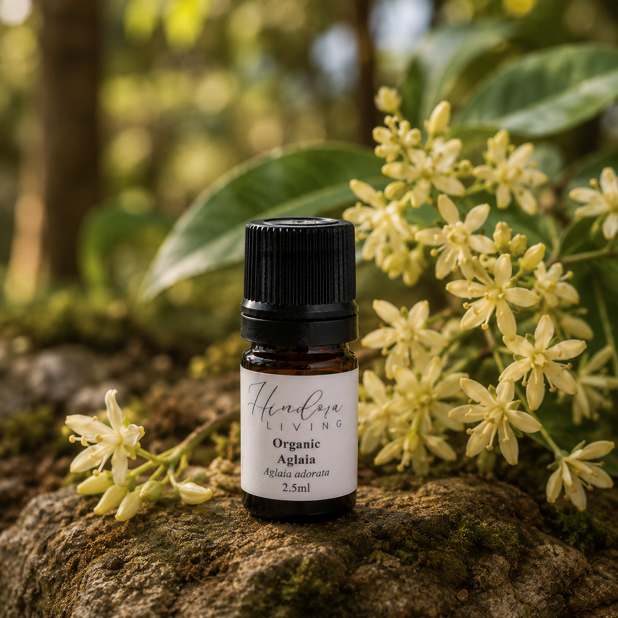 有機米仔蘭原精 Aglaia 2.5ml