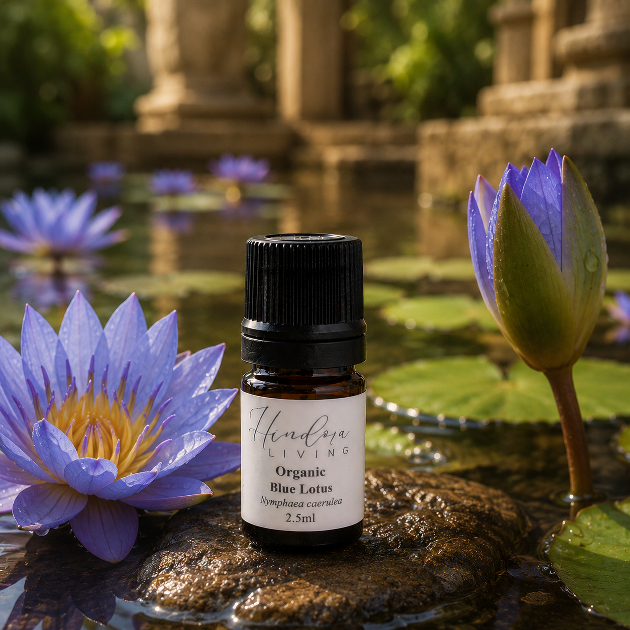 有機藍蓮花原精 Blue Lotus 2.5ml
