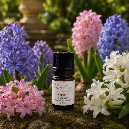 有機風信子原精 Hyacinth 2.5ml