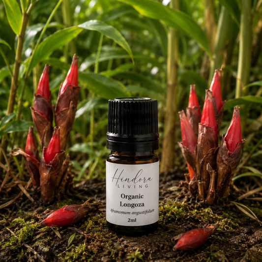 有機野生馬達加斯加煥顏草精油 Organic Wild Madagascar Longoza 2ml