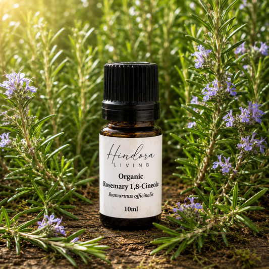 有機迷迭香 1,8-桉油醇精油 Rosemary 1,8-Cineole 10ml