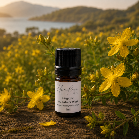 有機野生聖約翰草精油 Organic Wild St. John's Wort Essential Oil 1ml